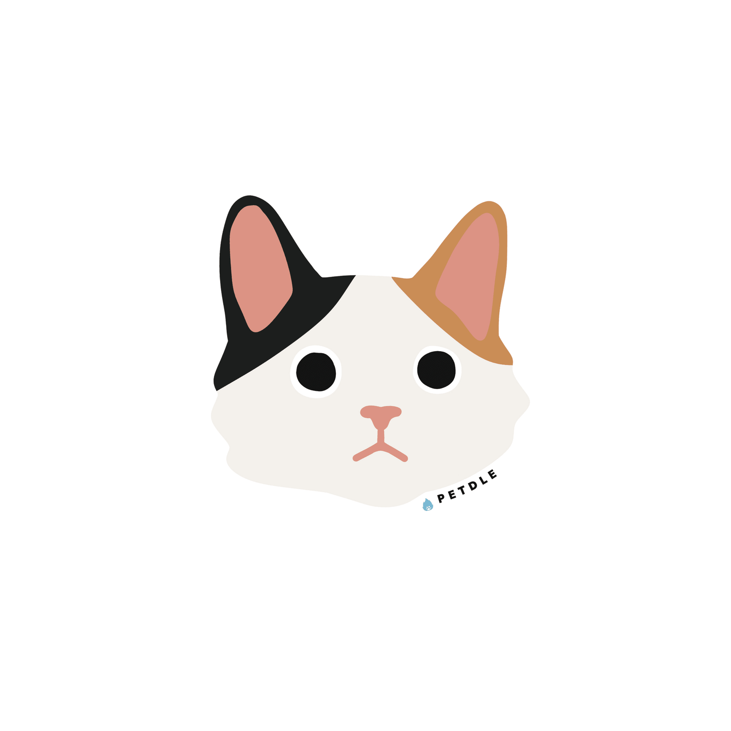 Domestic Shorthair | STICKER - Petdle