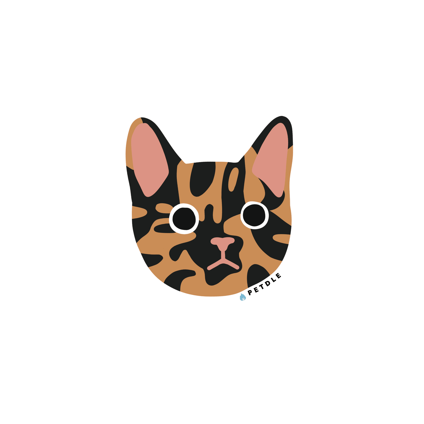 Domestic Shorthair | STICKER - Petdle