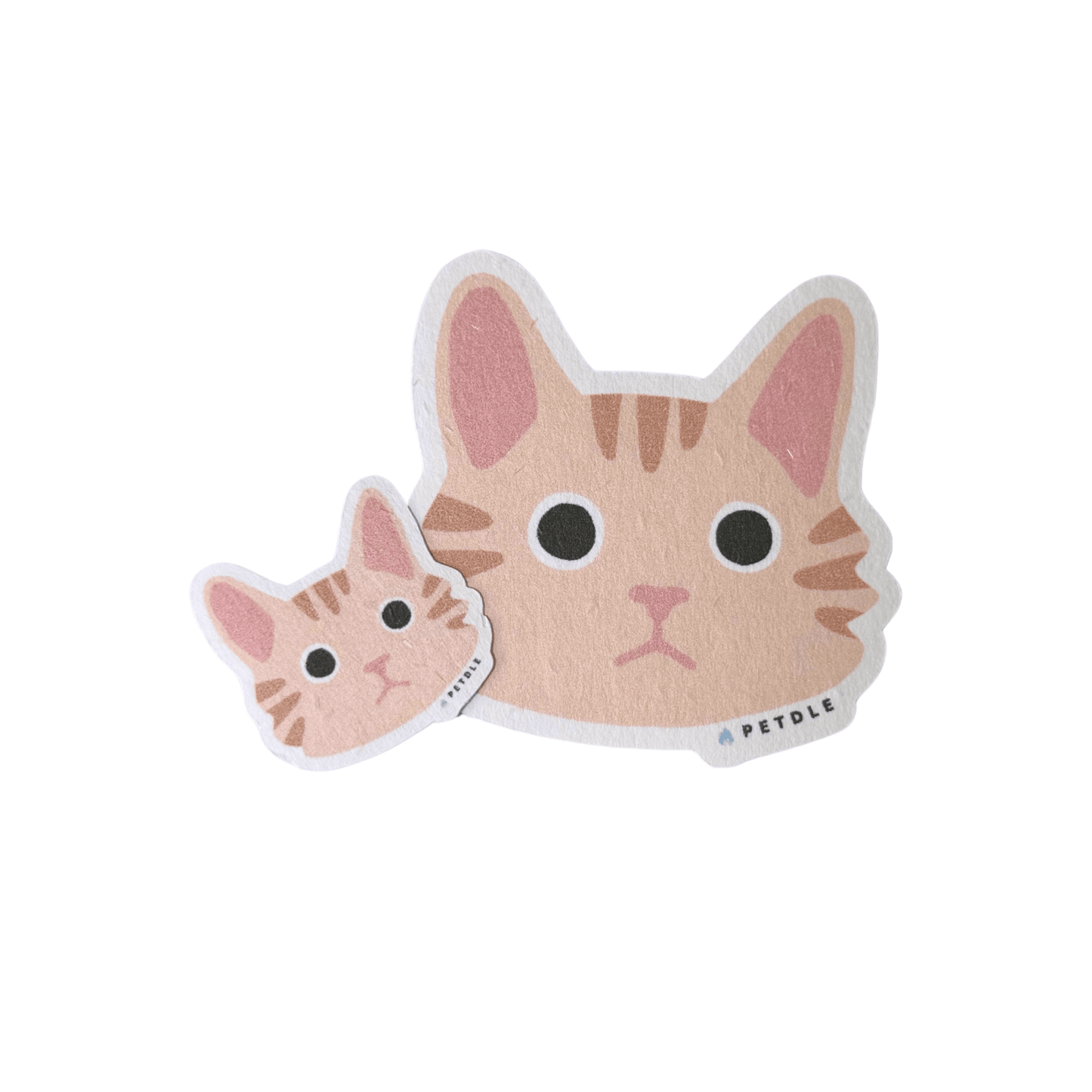 Maine Coon | STICKER - Petdle