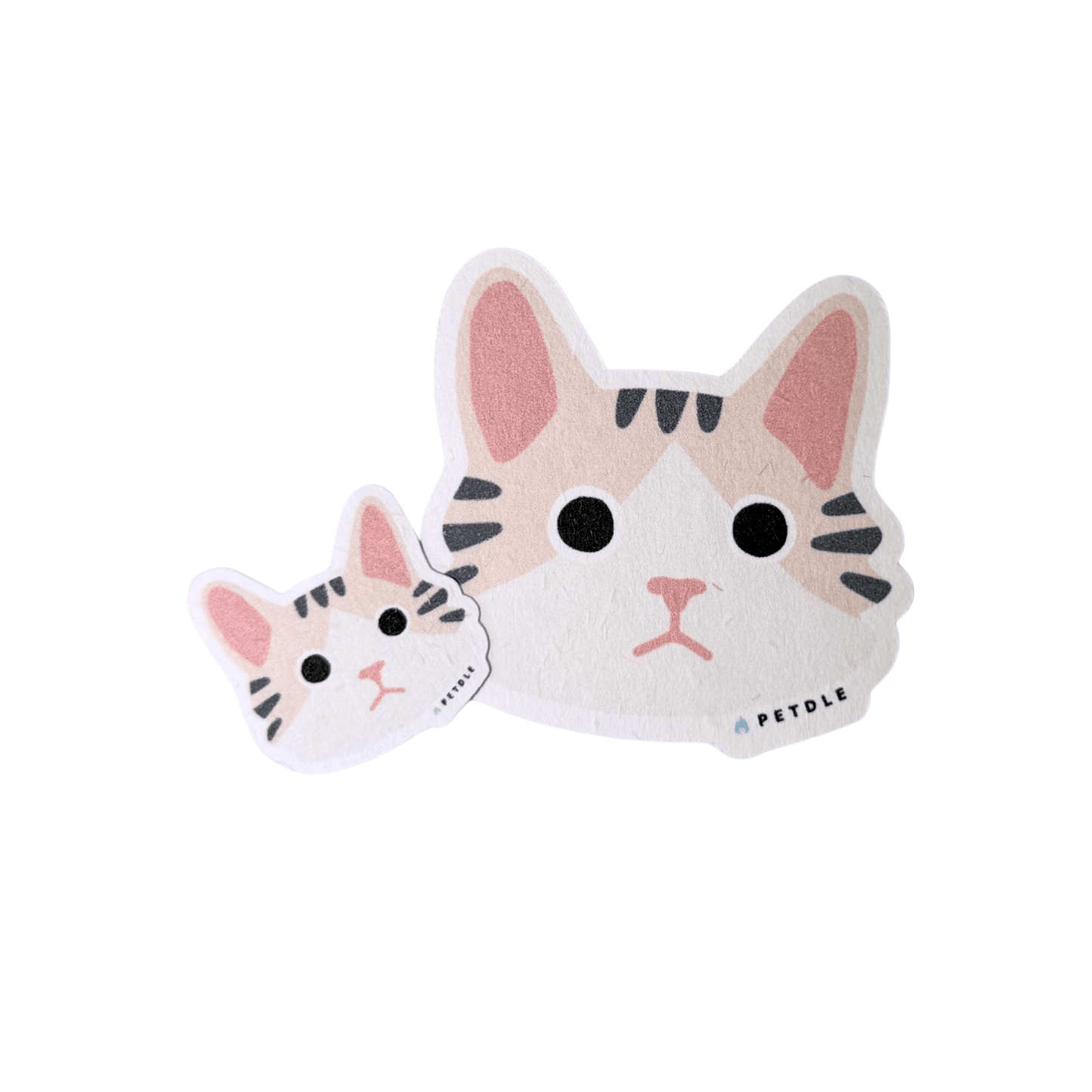 Maine Coon | STICKER - Petdle