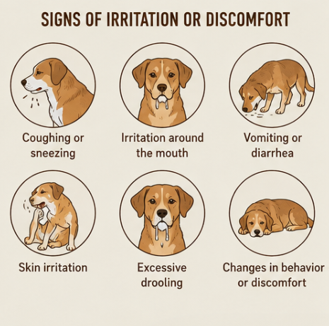 Signs of irritation or discomfort in dogs, including coughing, skin irritation, vomiting, and excessive drooling.
