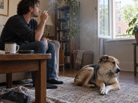 Secondhand Smoke Can Harm Dogs in More Ways Than You Think