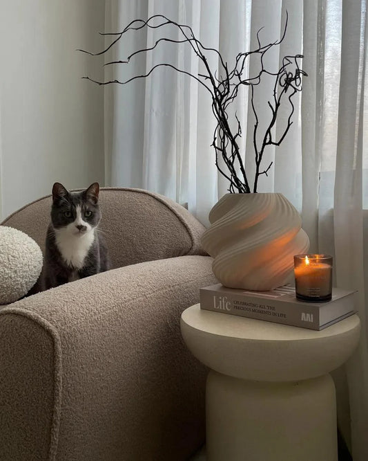 Essential Oils Safe for Pets: Home Fragrance Tips with a cat near a lit candle and decorative elements.