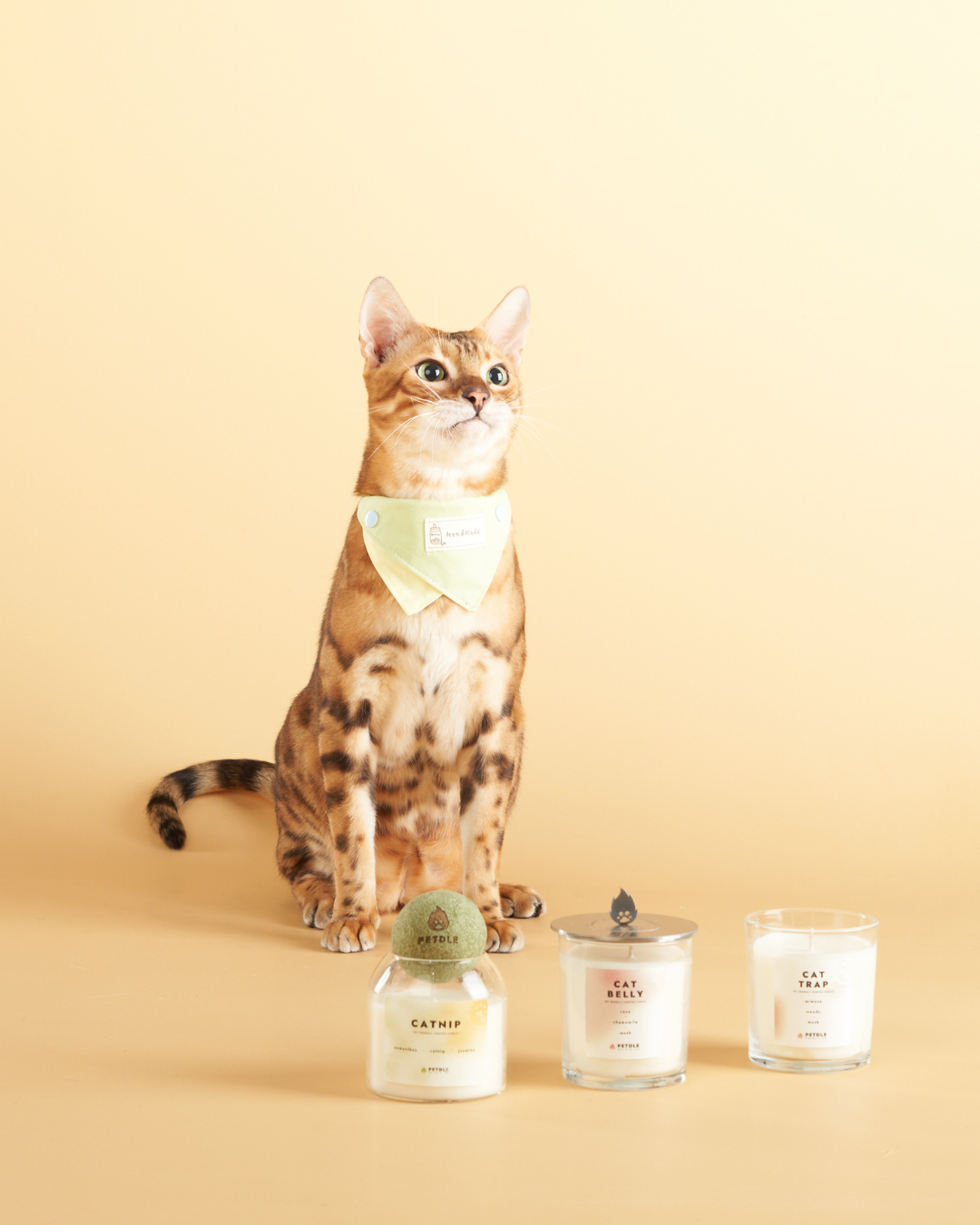 Candle｜Cat - Pet Safe Candles featuring a cat beside three pet safe candles.
