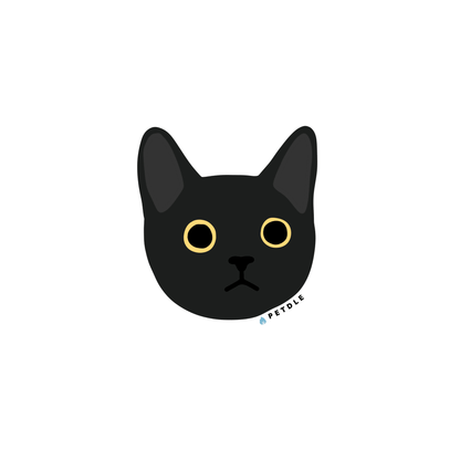 Domestic Shorthair | STICKER - Petdle