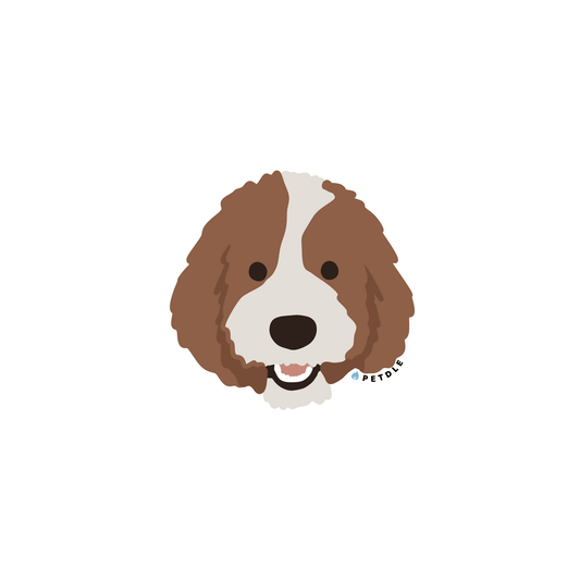 Poodle | STICKER - Petdle