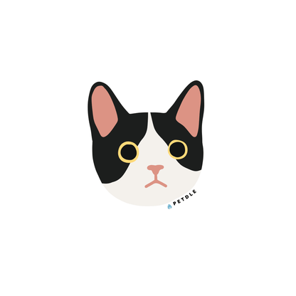 Domestic Shorthair | STICKER - Petdle