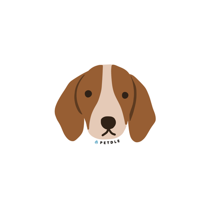 Beagle | STICKER - Petdle