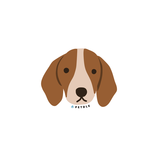Beagle | STICKER - Petdle