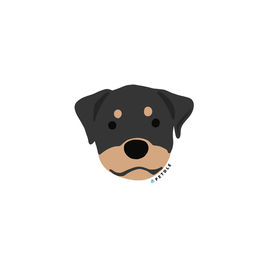 Rottweiler | STICKER - Petdle