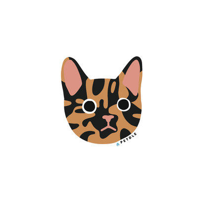 Domestic Shorthair | STICKER - Petdle