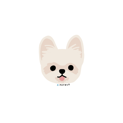 Yorkshire Terrier | STICKER - Petdle