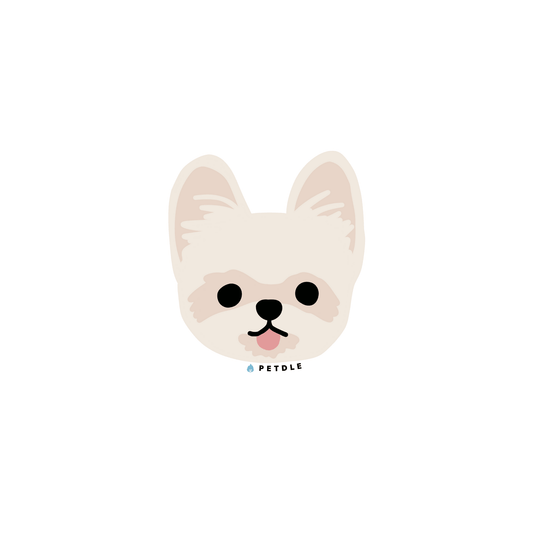 Yorkshire Terrier | STICKER - Petdle