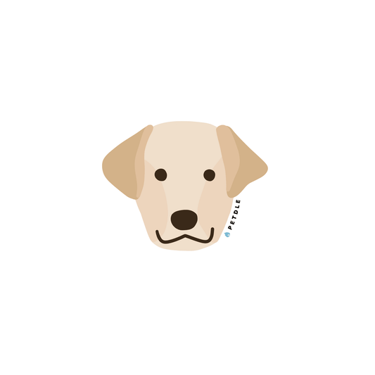 Labrador Retriever | STICKER - Petdle