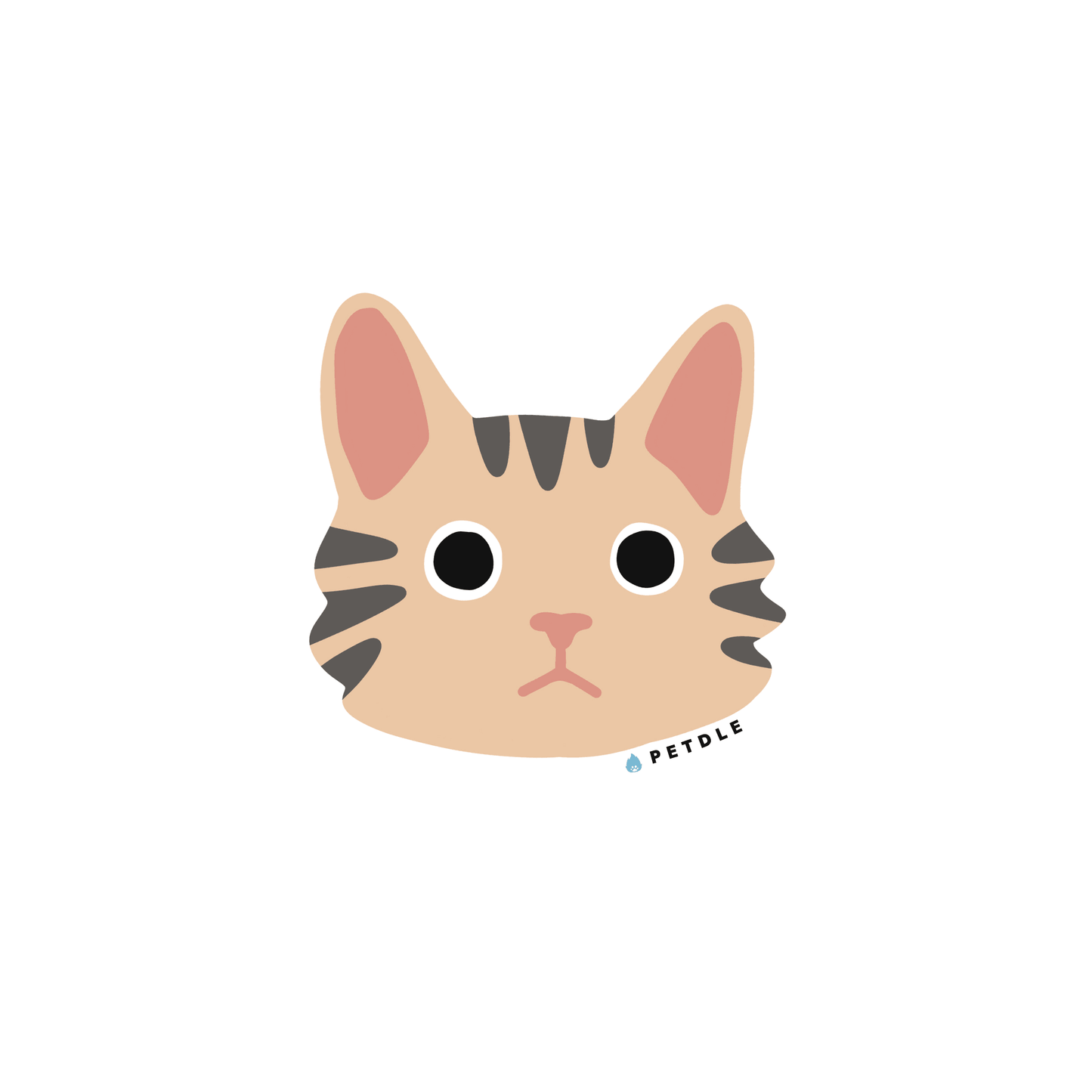 Maine Coon | STICKER - Petdle