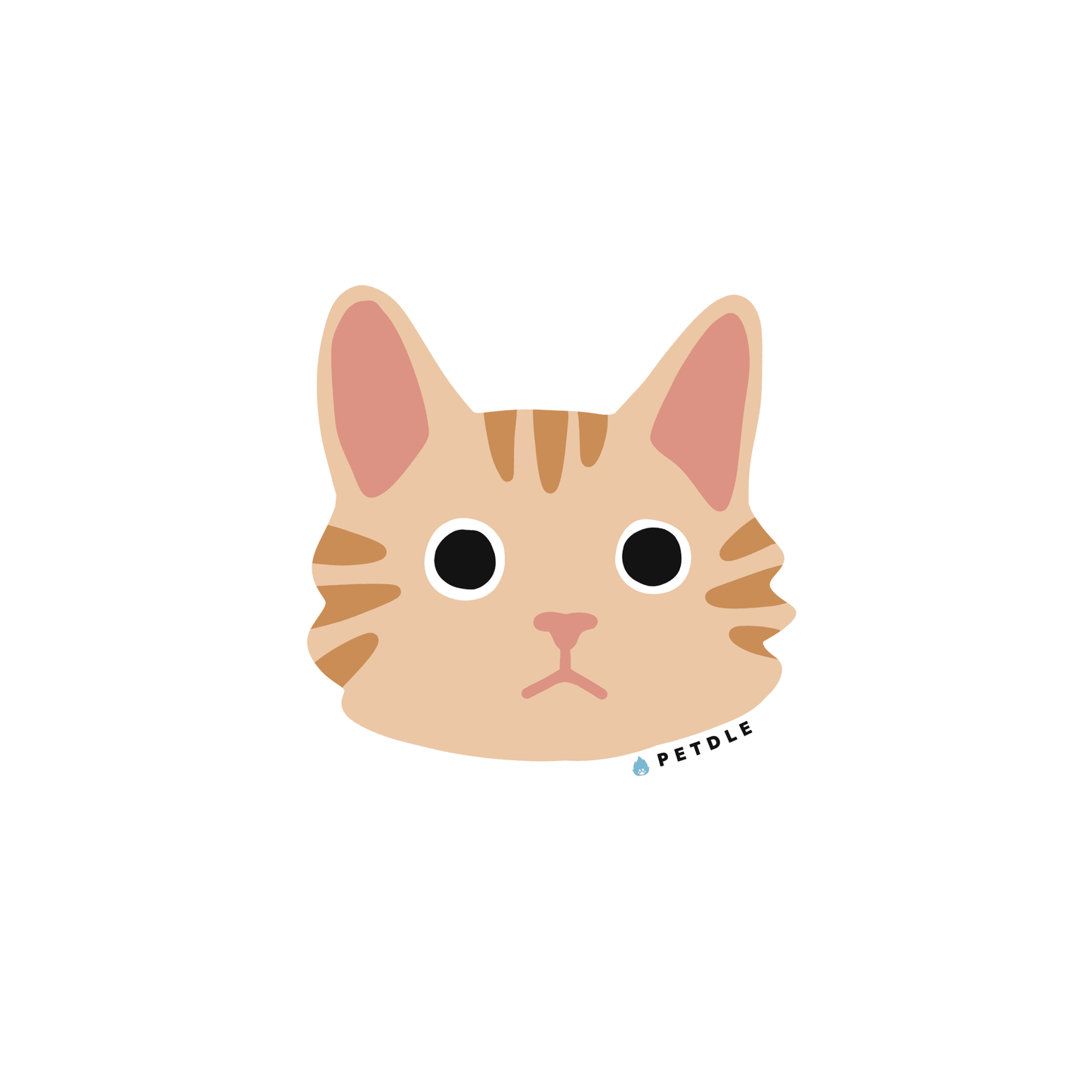 Maine Coon | STICKER - Petdle
