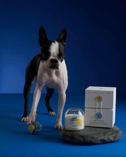 KNOT YOUR BAL - Pet Safe Candles