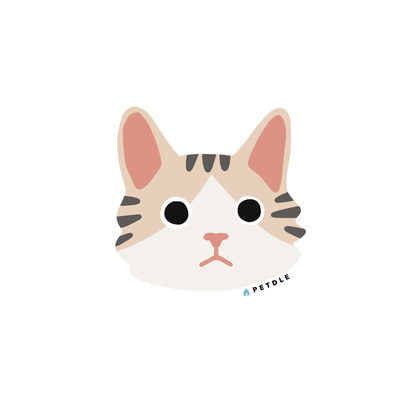 Maine Coon | STICKER - Petdle