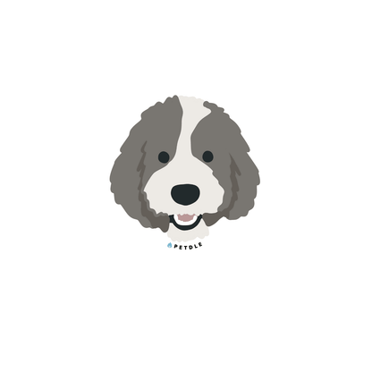 Poodle | STICKER - Petdle