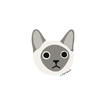 Siamese | STICKER - Petdle