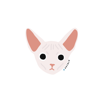 Sphynx | STICKER - Petdle