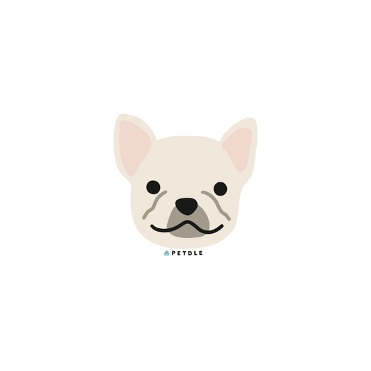 French Bulldog | STICKER - Petdle