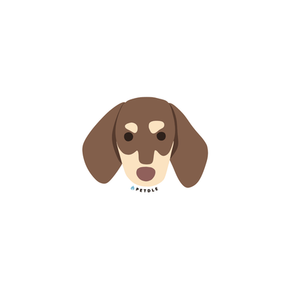 Dachshund | STICKER - Petdle
