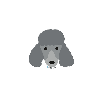 Trimmed Giant Poodles | STICKER - Petdle