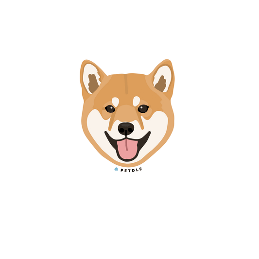 Shiba Inu | STICKER - Petdle