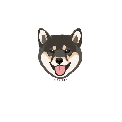 Shiba Inu | STICKER - Petdle