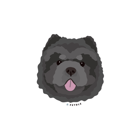 Chow Chow | STICKER - Petdle