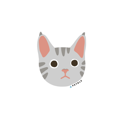 Domestic Shorthair | STICKER - Petdle