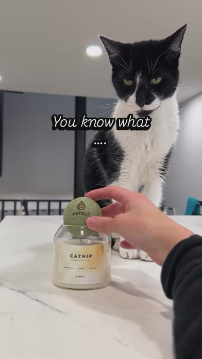 CATNIP - Pet Safe Candles