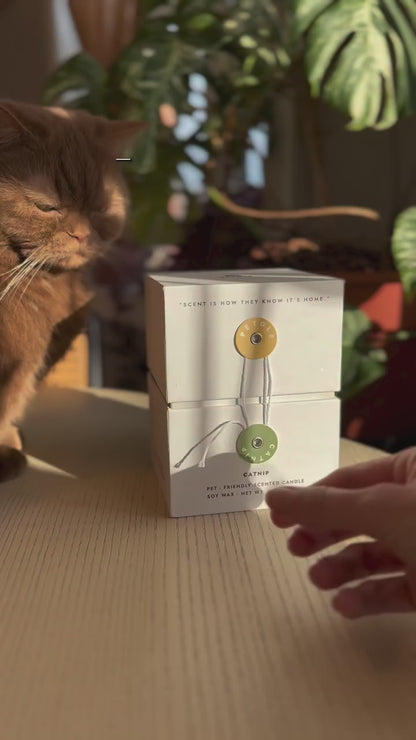 CATNIP - Pet Safe Candles