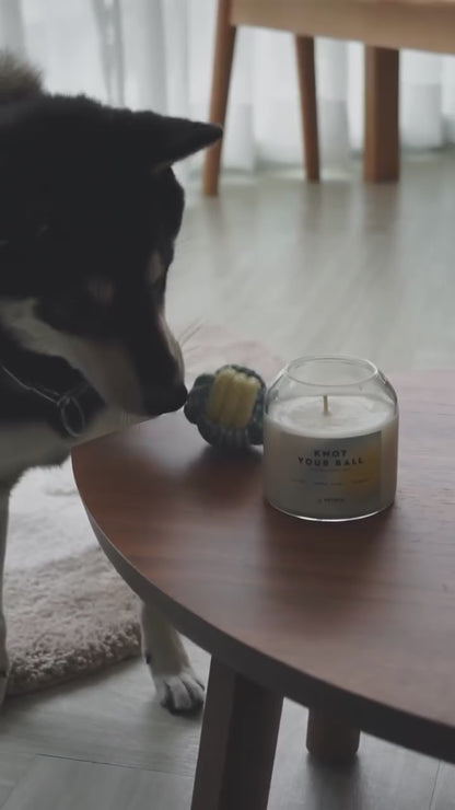 KNOT YOUR BAL - Pet Safe Candles